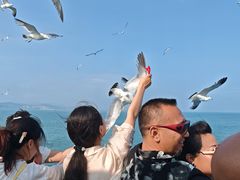 -长岛南北长山旅游景区