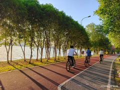 -艾溪湖湿地公园