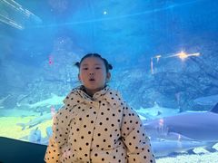 -烟台海昌鲸鲨海洋公园