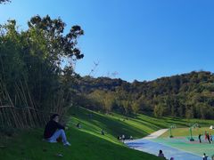 -羊山湖公园