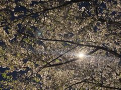 -西北湖绿化广场