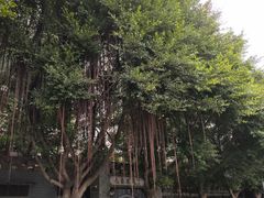 -重庆观音桥华美达安可酒店