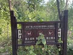 -佛慧山