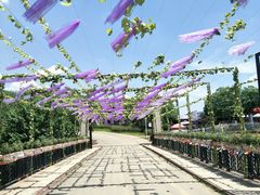 -紫颐香薰山谷景区