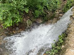 -素山寺森林公园