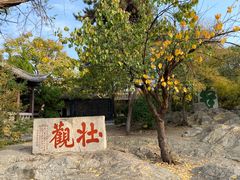 -云龙山