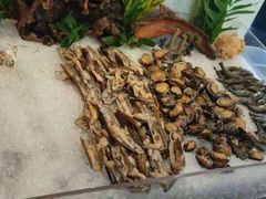 -鲤鱼洲酒店港鲤咖啡厅