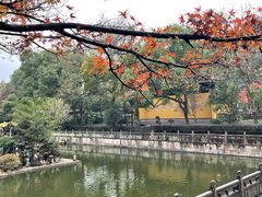 -西湖外事游船(花港观鱼码头)