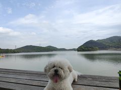 -宁波九龙湖开元度假村
