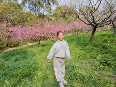 -上海海湾国家森林公园