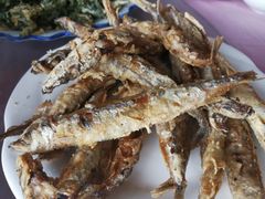 炸多子鱼-韵之源农家菜(北京1店)