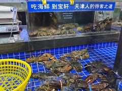 -宝轩渔府·老字号海鲜·正宗津菜(水上店)