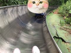 -富斯特索道