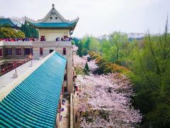 -武汉大学-樱园