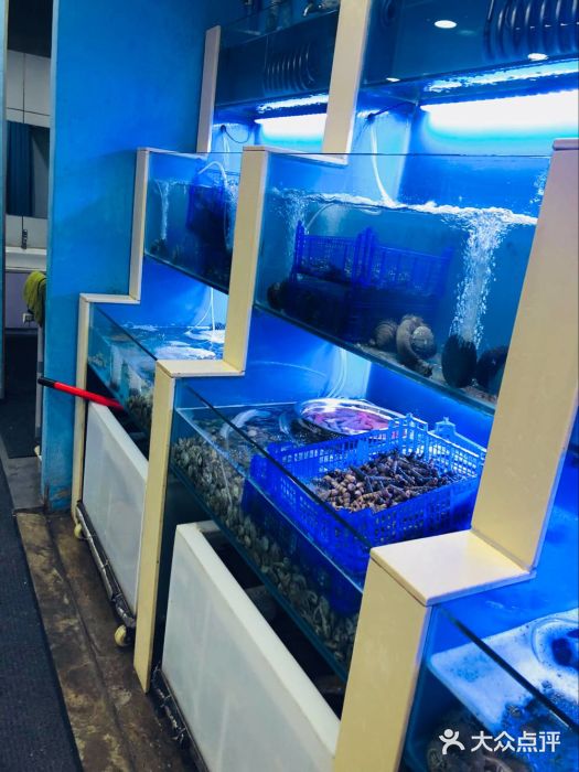 老虎滩大连海鲜烧烤(建邺云锦路总店)水产区图片
