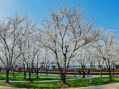 -龙美术馆西岸馆-停车场