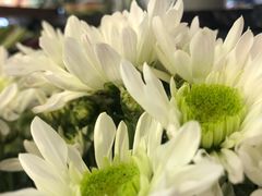 -顺华粉馆(桃园南路店)