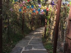 -南窖乡水峪村山情农家