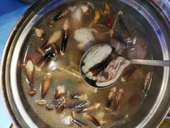 鲜人参锅底-千岛蚝高压锅生蚝·人参火锅(白云万达店)