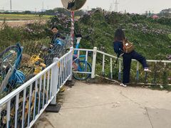 -长洲岛