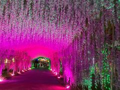 -广东花都香草世界旅游度假区