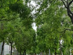 -同济大学(嘉定校区)