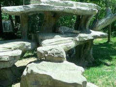 -北京野生动物园