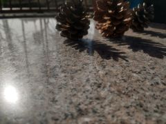 -佳麦烘焙(姚港路店)