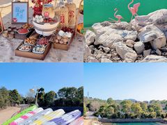 -宁波松兰山滨海旅游度假区