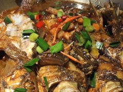 -東大方(湖州白鹭迎店)