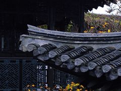 -何园