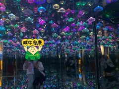 -梵高星空艺术馆(北京旗舰店)