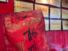 -舞凤杨正宗杨鸭子(红花街总店)