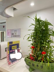 -丽都整形美容医院·全国连锁旗舰店