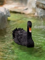 -Zoolung Zoolung动物主题公园(海信广场店)