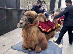 -同至人购物中心(朝阳街店)