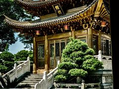 -上海东林寺(金山区)