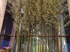 门面-京基滨河时代广场