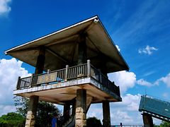 -东莞市大岭山森林公园