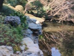 -华山医院-食堂