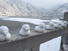 -秦岭终南山世界地质公园翠华山景区