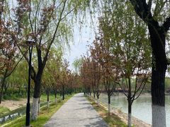 -羊山湖公园