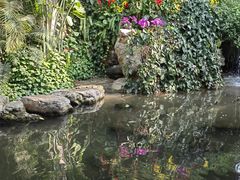 -郑州植物园