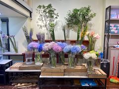 -溪岸路花鸟市场