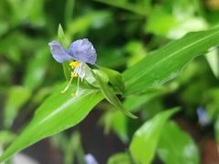 -悦真雅院·四合院·清真私房菜(雍和宫店)