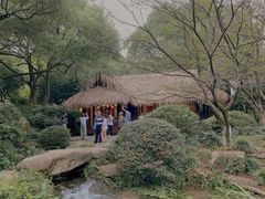 -中国茶叶博物馆(双峰馆区)
