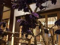 -西安华清御汤酒店