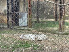 -合肥野生动物园