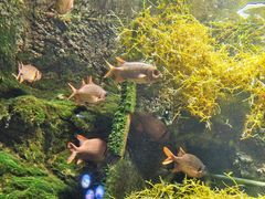 -太平洋海底世界