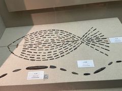 -巴音郭楞蒙古自治州博物馆